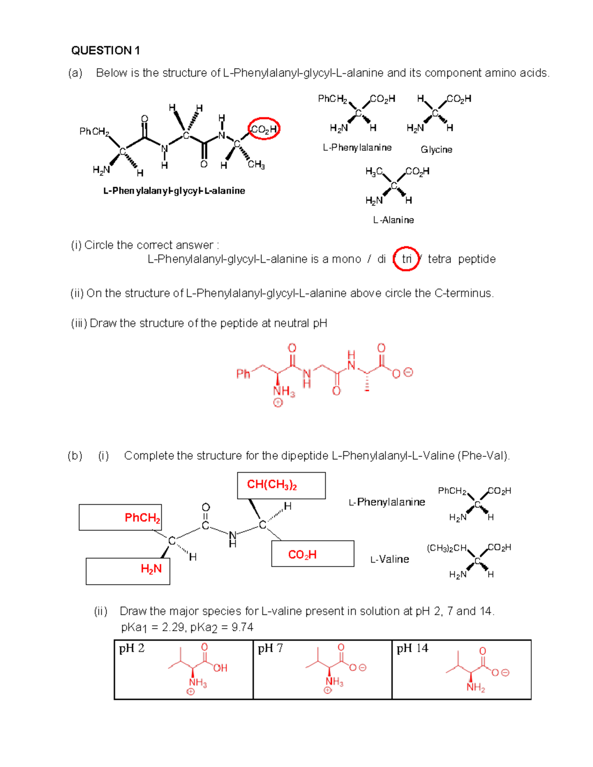 B6 Worksheet 2 answers - QUESTION 1 (a) Below is the structure of L ...