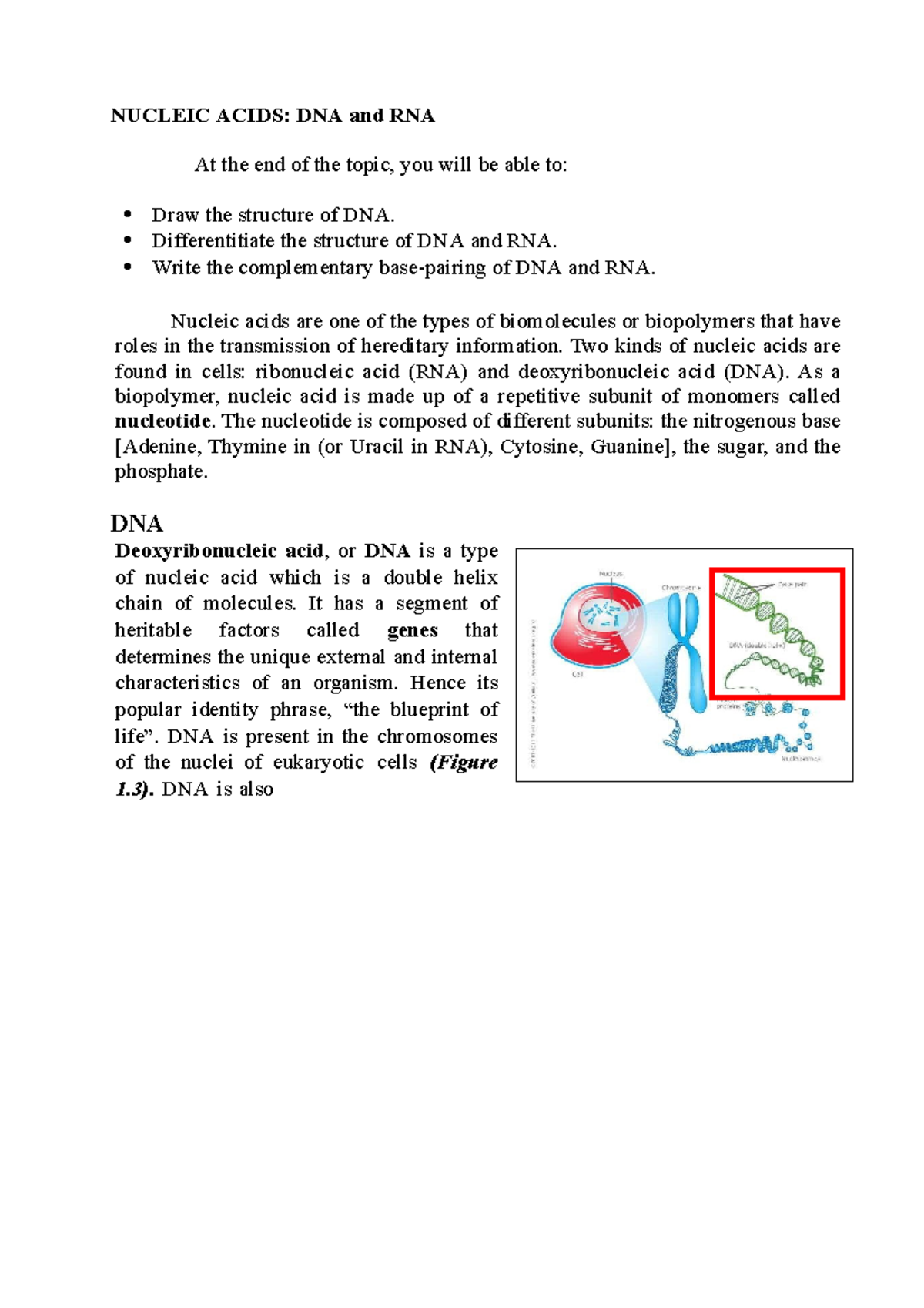Nucleic Acids - NUCLEIC ACIDS: DNA and RNA At the end of the topic, you ...