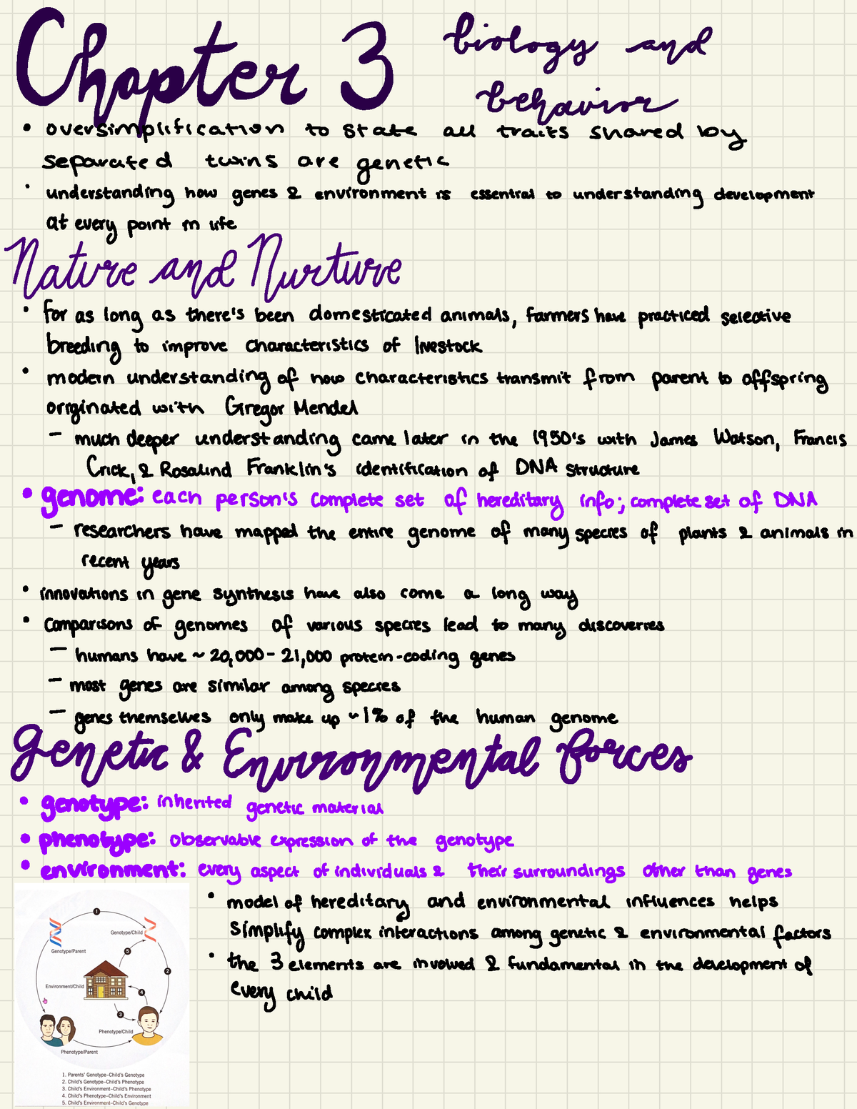 Developmental Psych Chapter 3 - Ki NμyÉEg . } Biology And 7 Behavior ...