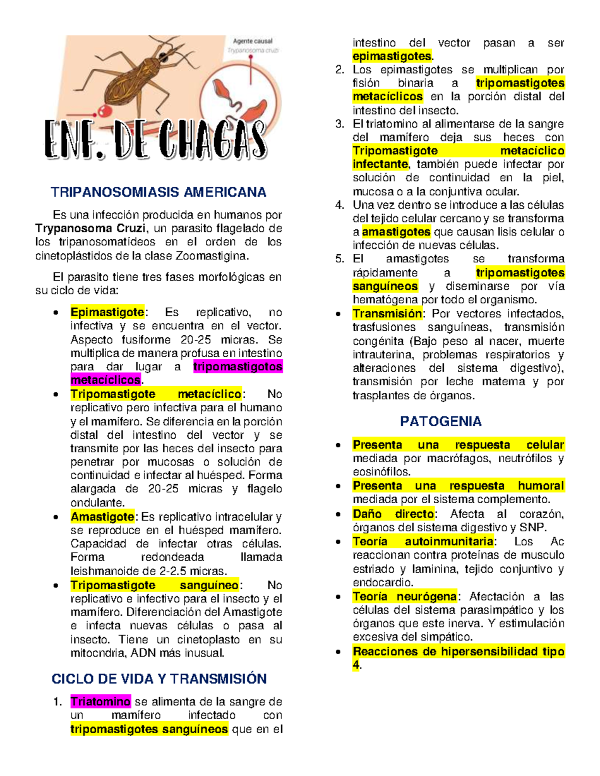 Enfermedad De Chagas Tripanosomiasis Americana Es Una Infección