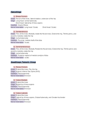 Muscle Contraction Types and Terminology - Muscle Contraction Types and ...