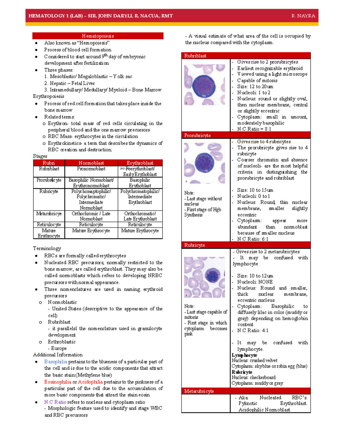 Hematopoiesis & RBC Anomalies - HEMATOLOGY 1 (LAB) – SIR. JOHN DARYLL R ...