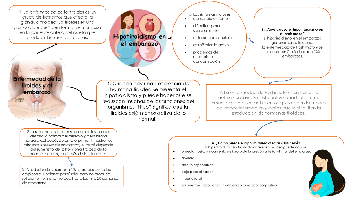 Enfermededad En Las Tiroides Durante El Embarazo - 1. La Enfermedad De ...