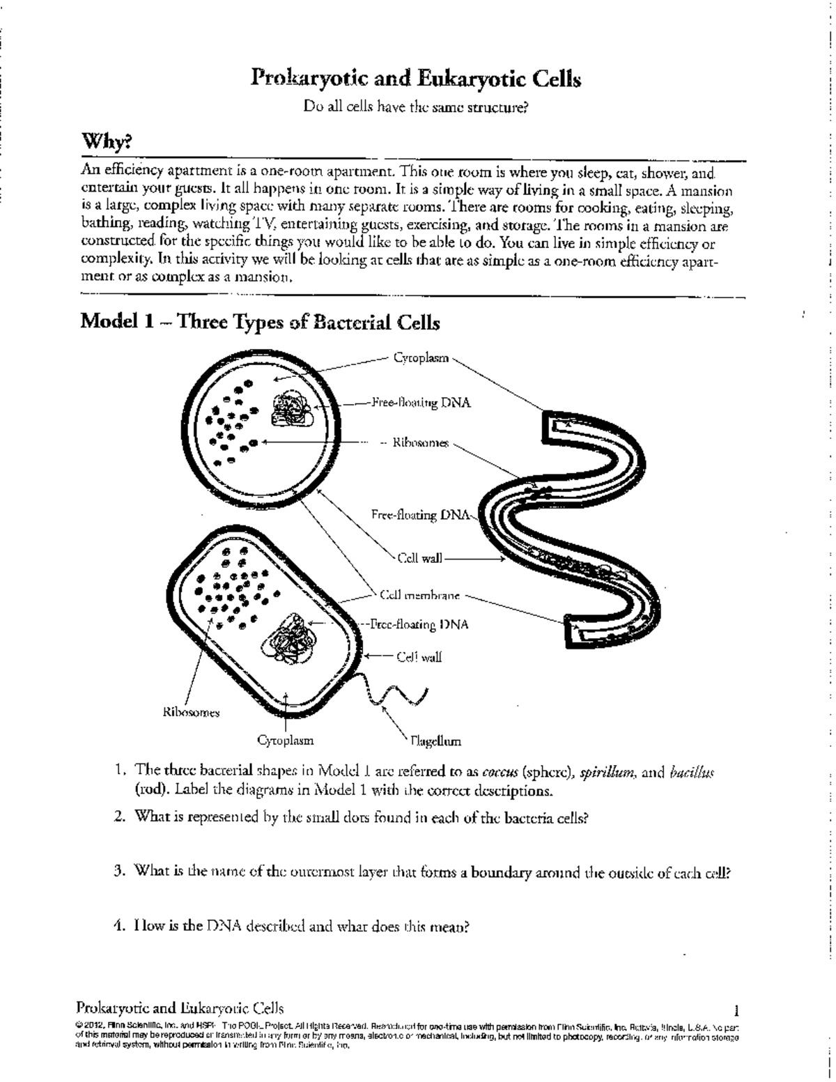 Pro and Euk Pogil - worksheet - Studocu