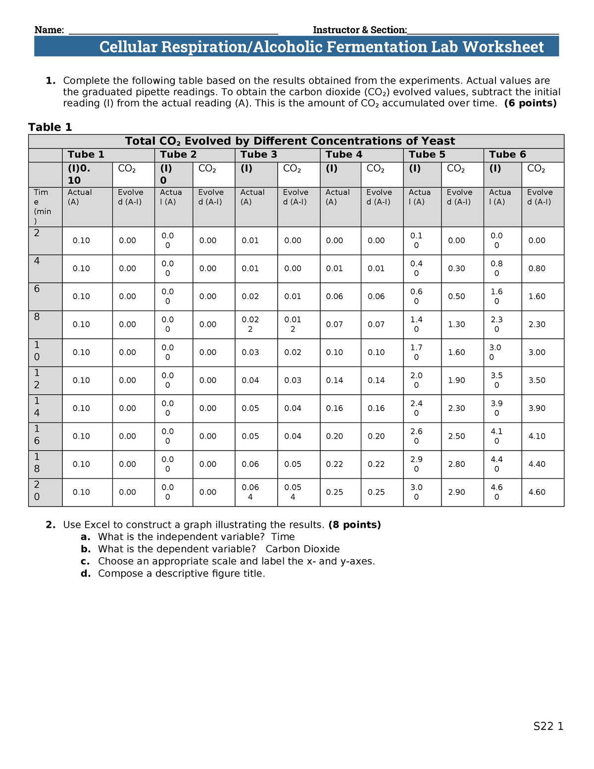 6 Fermentation Worksheet S22 - Cellular Respiration/Alcoholic ...