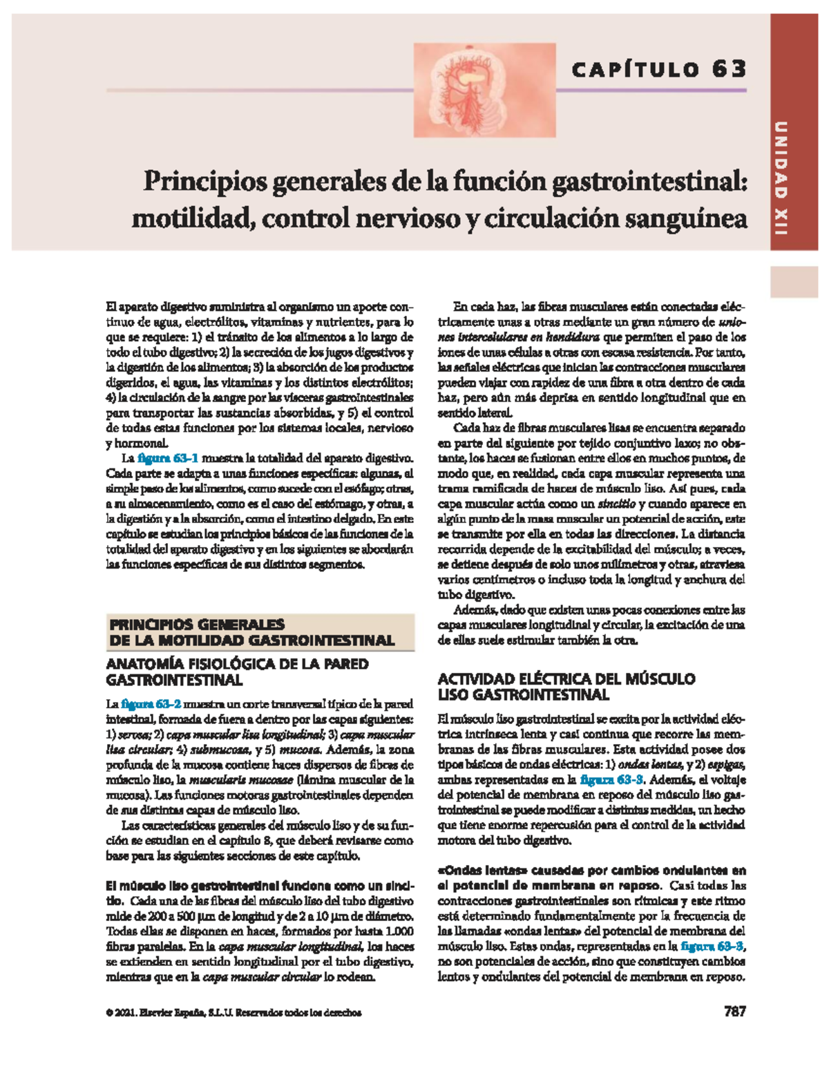 Caputulo 63 - Capitulo 63 de la fisiología de Guyton y Hall - CAPÍTULO ...