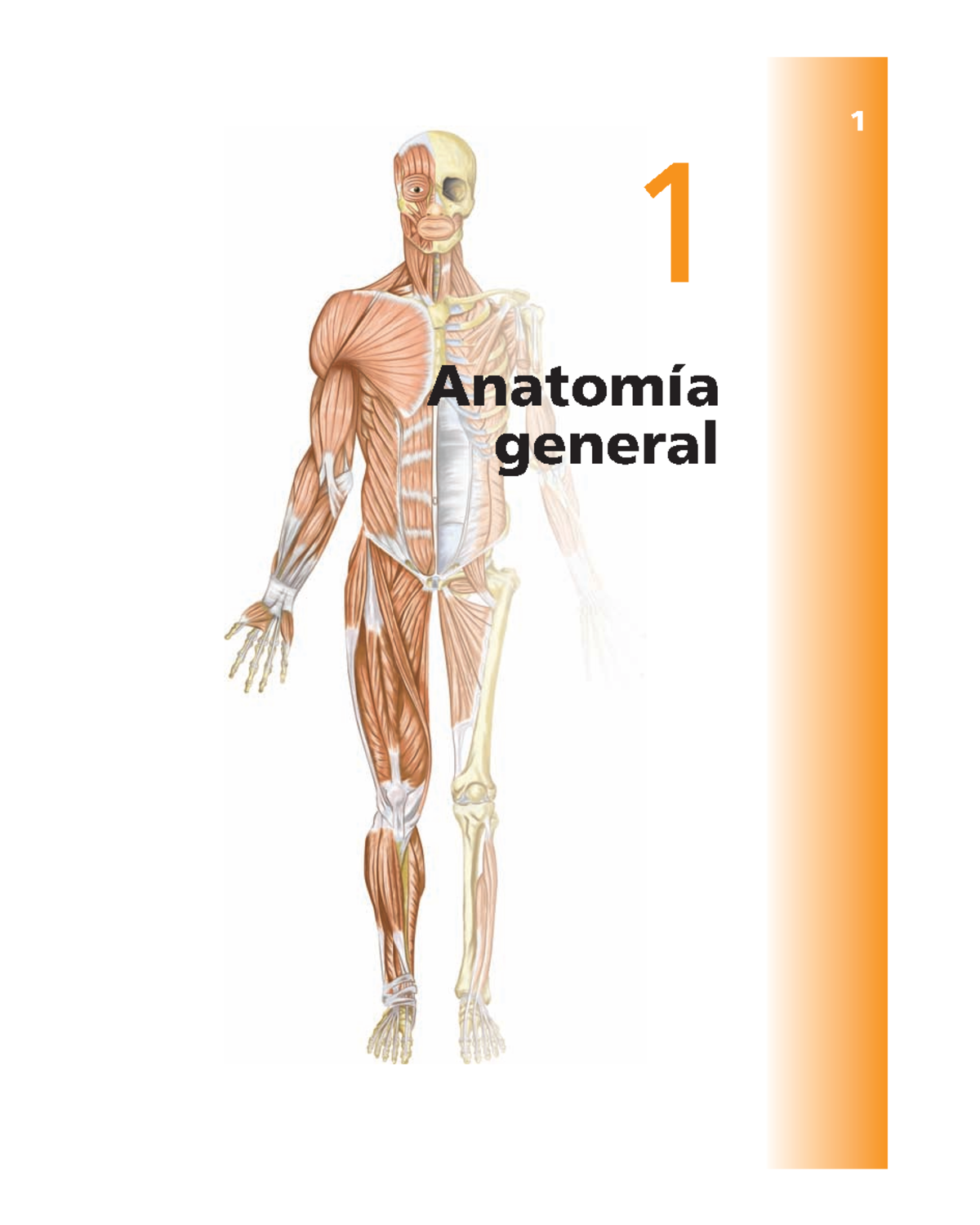 Anatomia Clínica PRO 35-113 - 1 Anatomía general 1 ####### 2 Anatomía ...