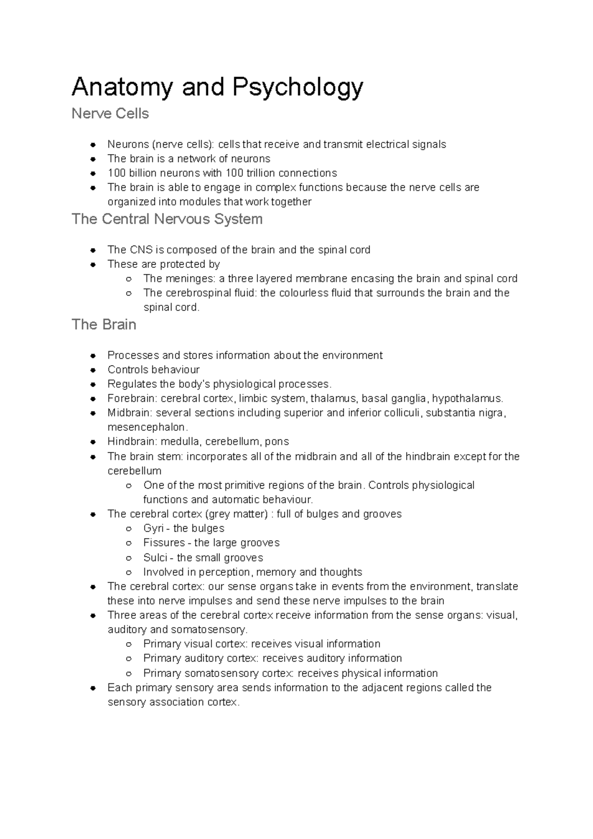 PSYC 1001 - Anatomy And Psychology - Anatomy And Psychology Nerve Cells ...