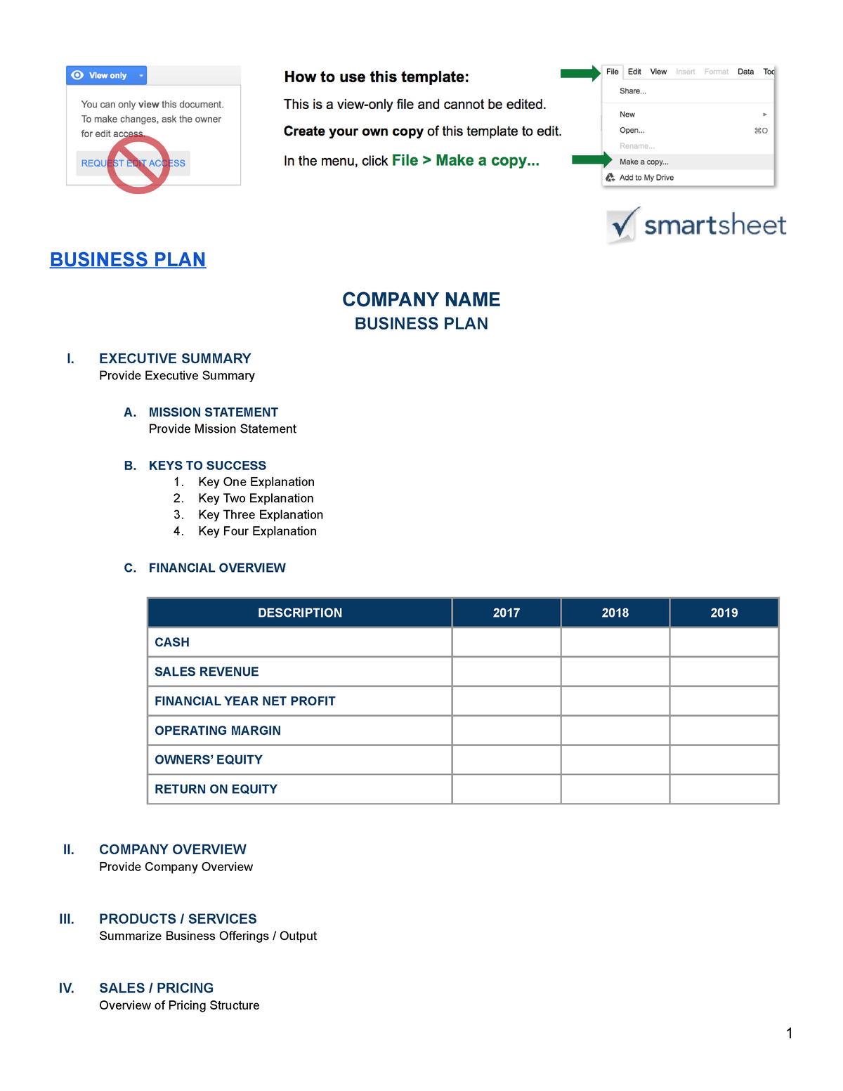 company name business plan