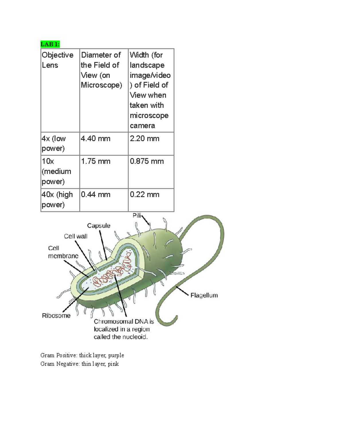 BIO 121 Lab Final Notes - LAB 1: Objective Lens Diameter of the Field ...