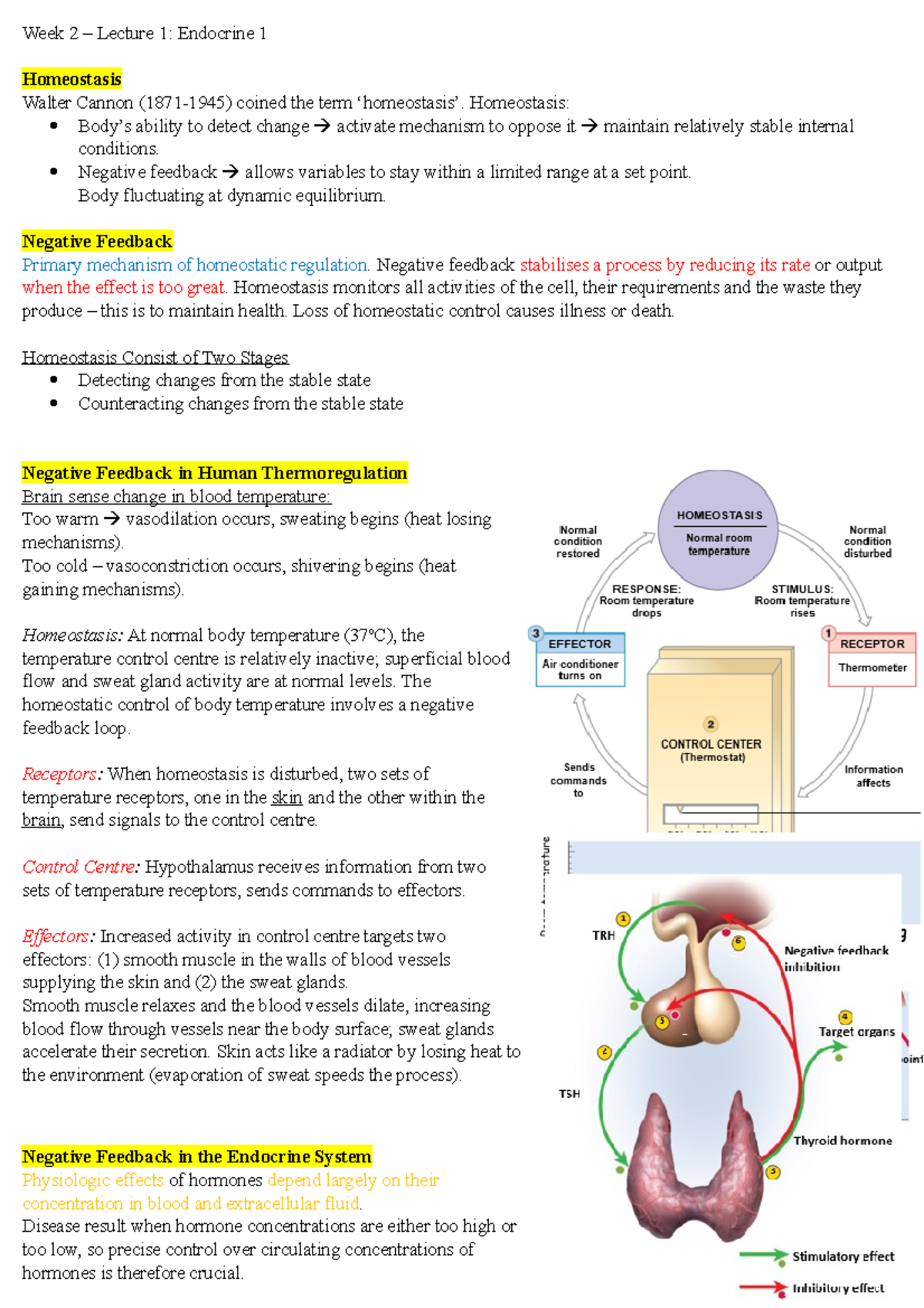 HAP Quiz 1 - study for exam - Week 2 – Lecture 1: Endocrine 1 ...