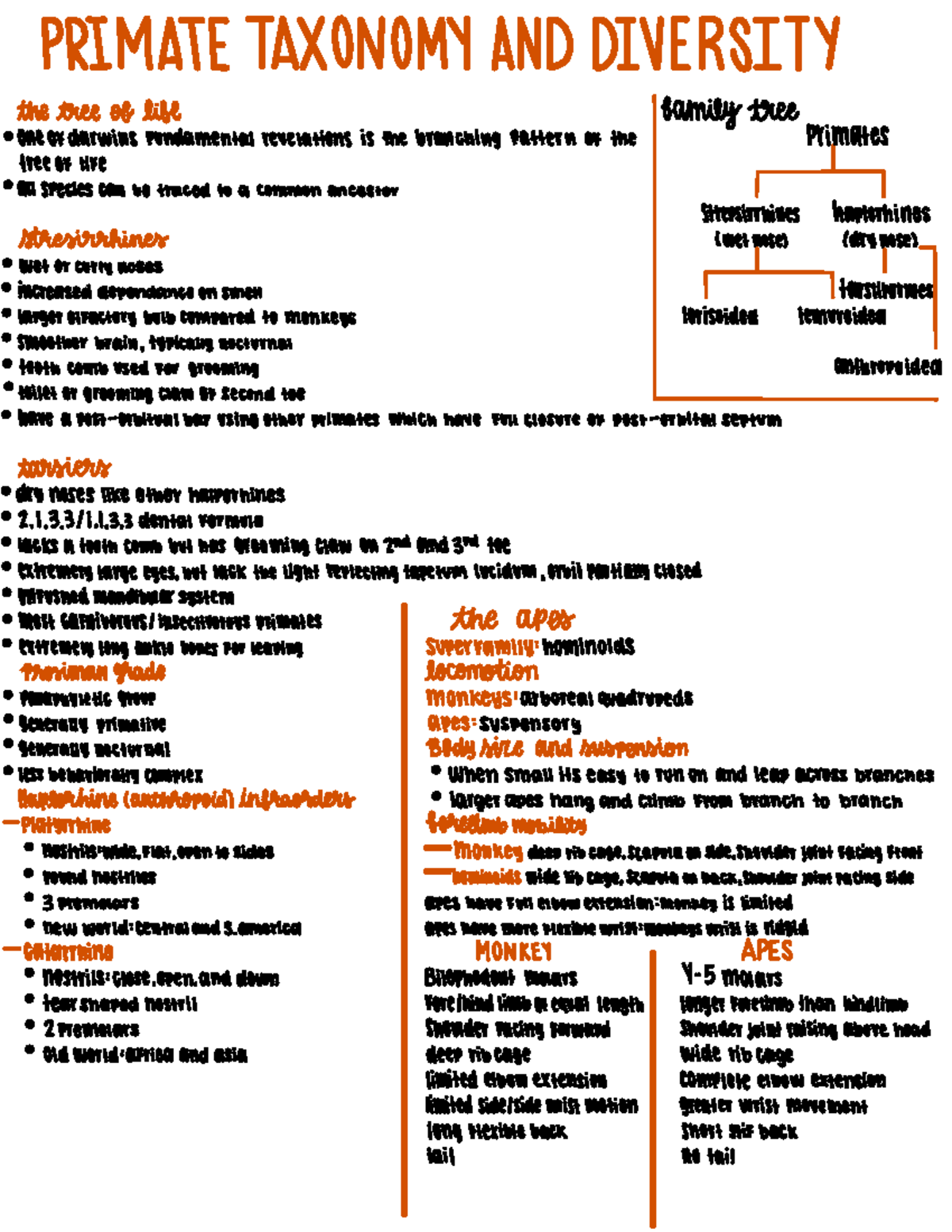 Primate Taxonomy And Diversity - PRIMATE C) CS the tree of life family ...