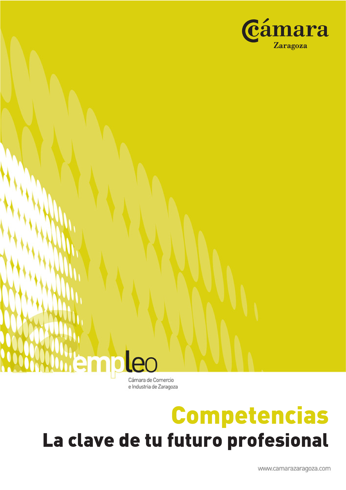 Competencias. La Clave De Tu Futuro Profesional - Competencias La Clave ...