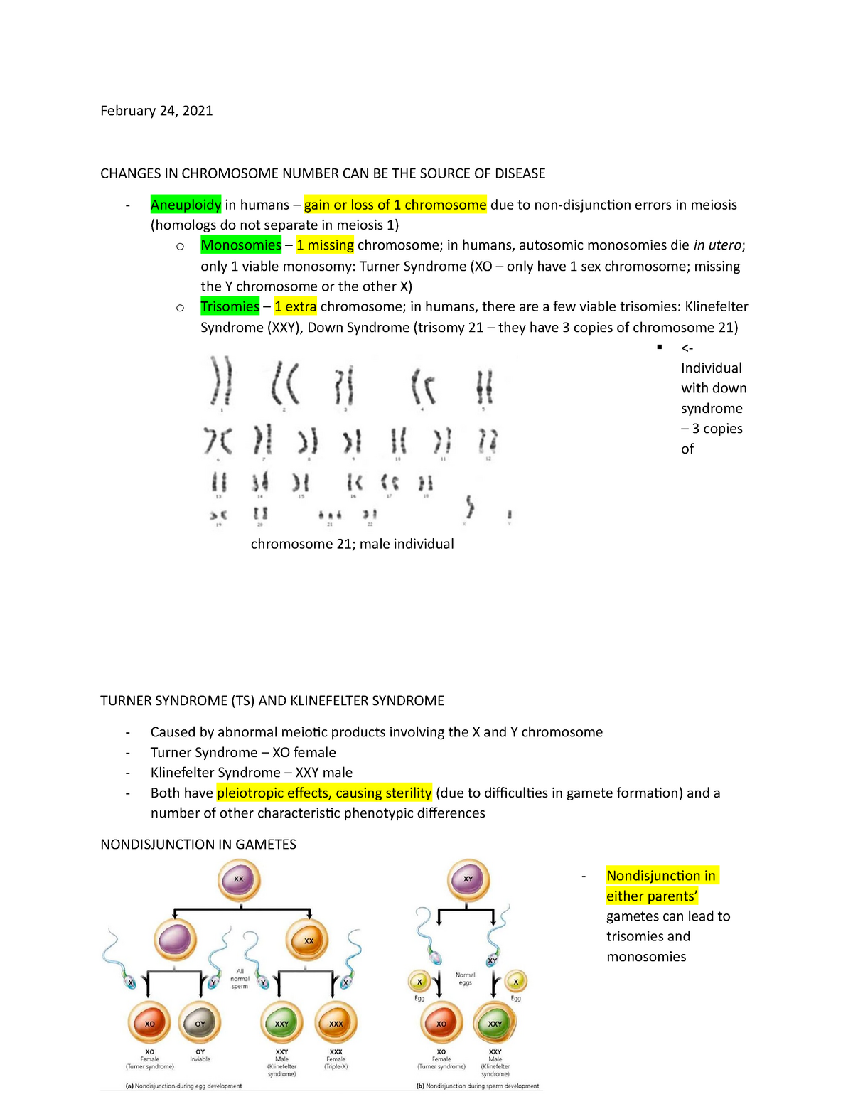 February 24 Lecture Notes February 24 2021 CHANGES IN CHROMOSOME   Thumb 1200 1553 