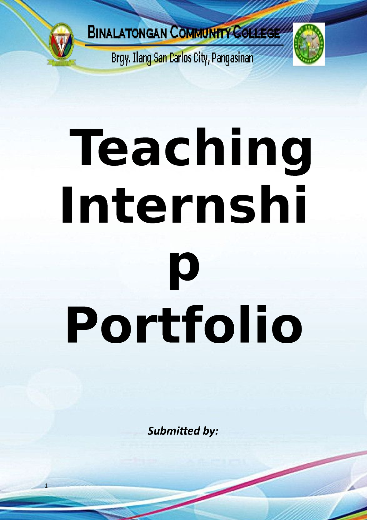 internship portfolio assignment