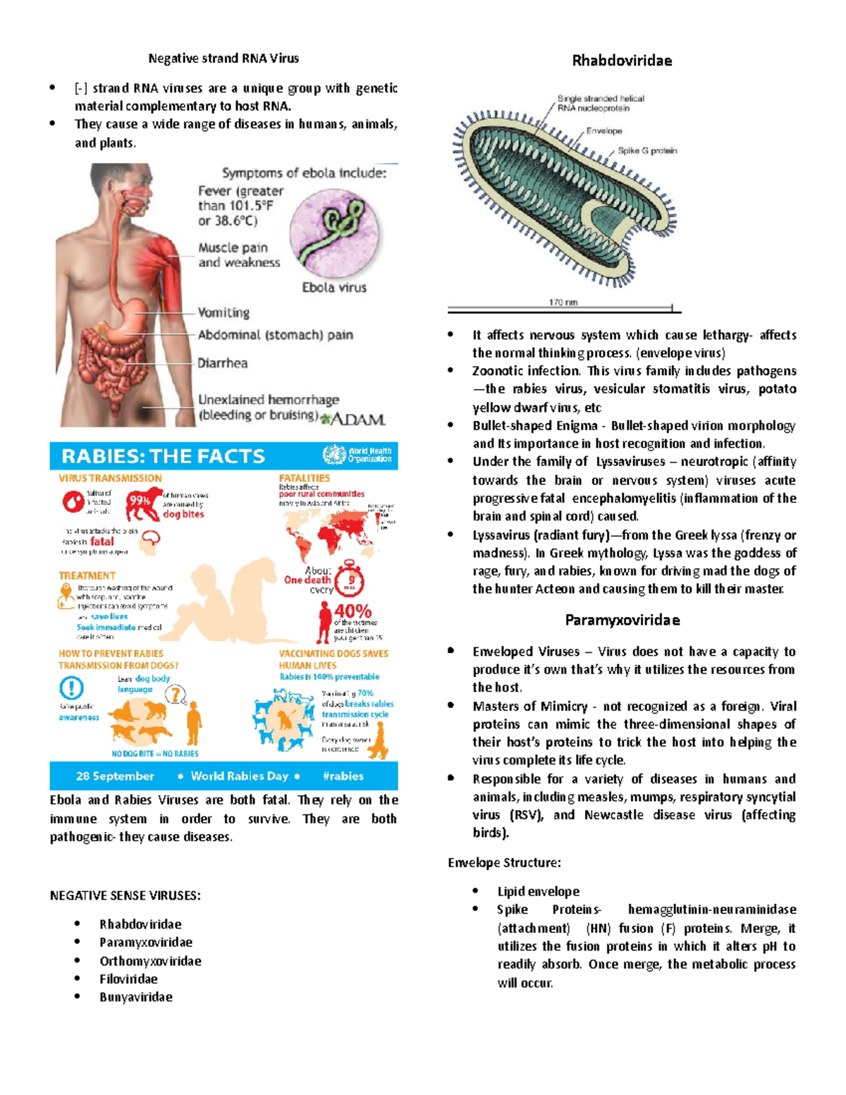 Viro Final - It gives insight about certain viruses - Negative strand ...