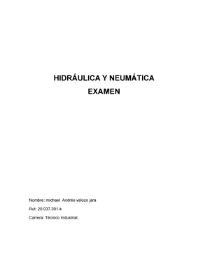 EVA 2 Hidraulica Y Neumatica - IPLACEX TECNOLOGICO NACIONAL CURSO 2023 ...