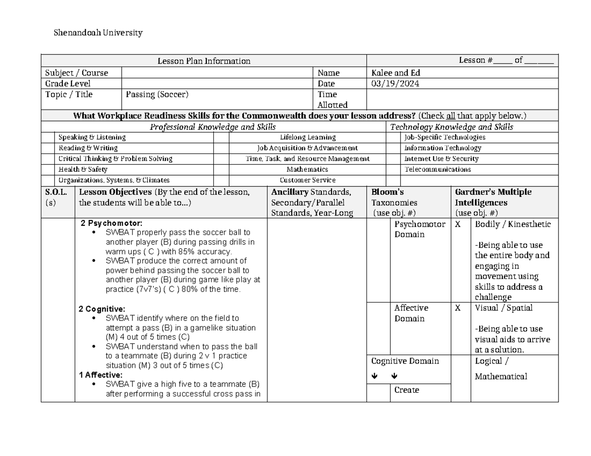 Lesson Plan Template (Completed) - Lesson Plan Information Lesson ...