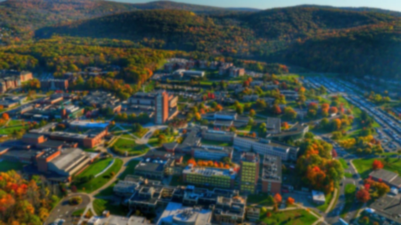 BU Binghamton University Studocu